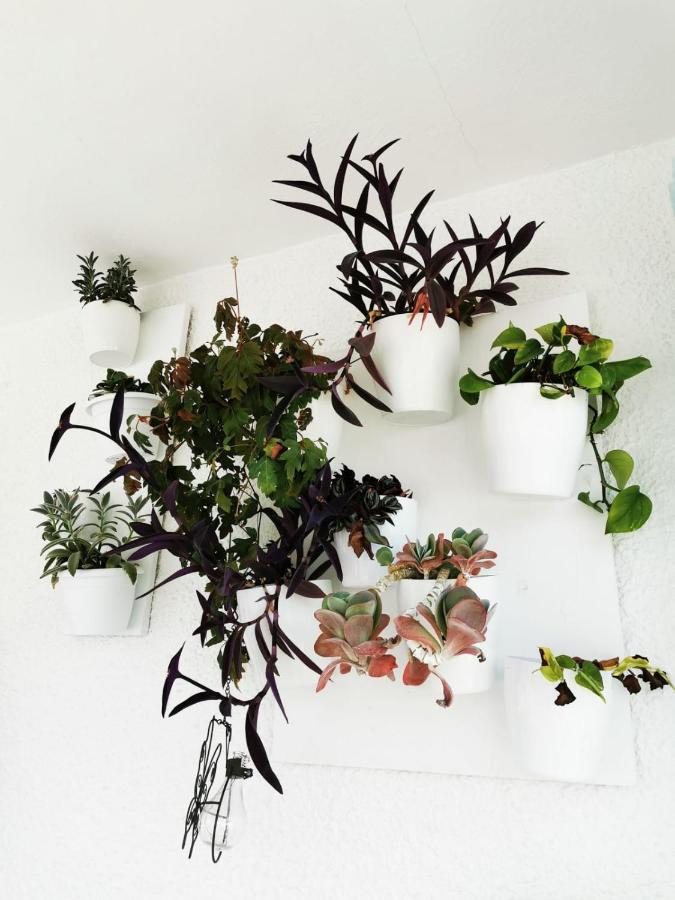 Valerie Bio & Zen Gasthof *